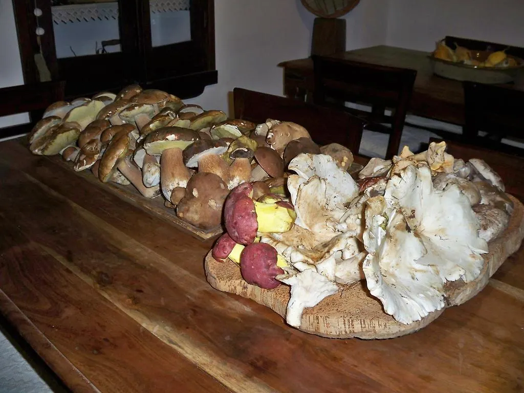 Bed & Breakfast B&B Sa Muredda Sardara